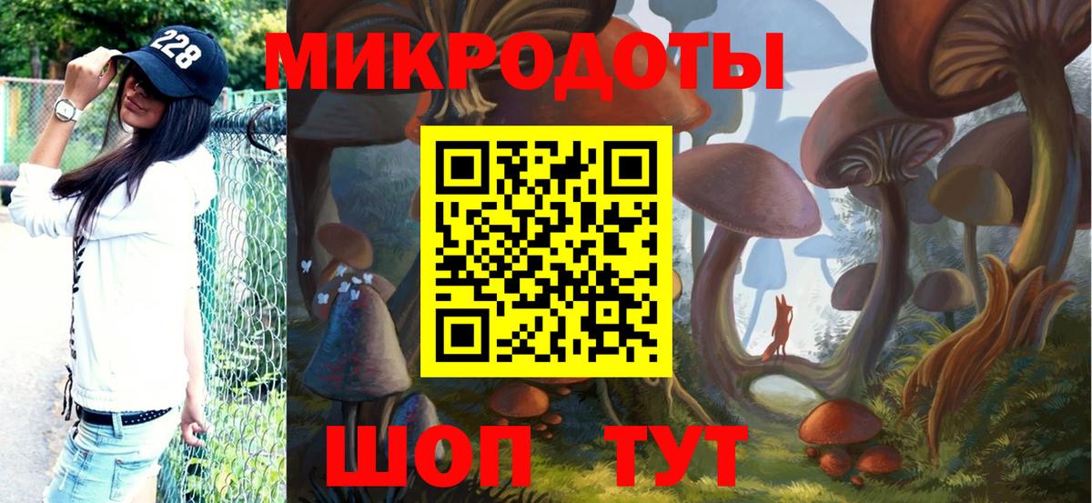 Псилоцибиновые грибы Psilocybine cubensis Белово