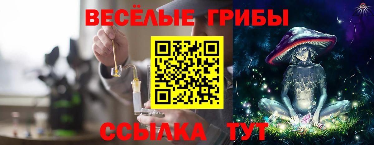 Белово  Псилоцибиновые грибы прущие грибы  Галлюциногенные грибы MAGIC MUSHROOMS  Вход с VPN 